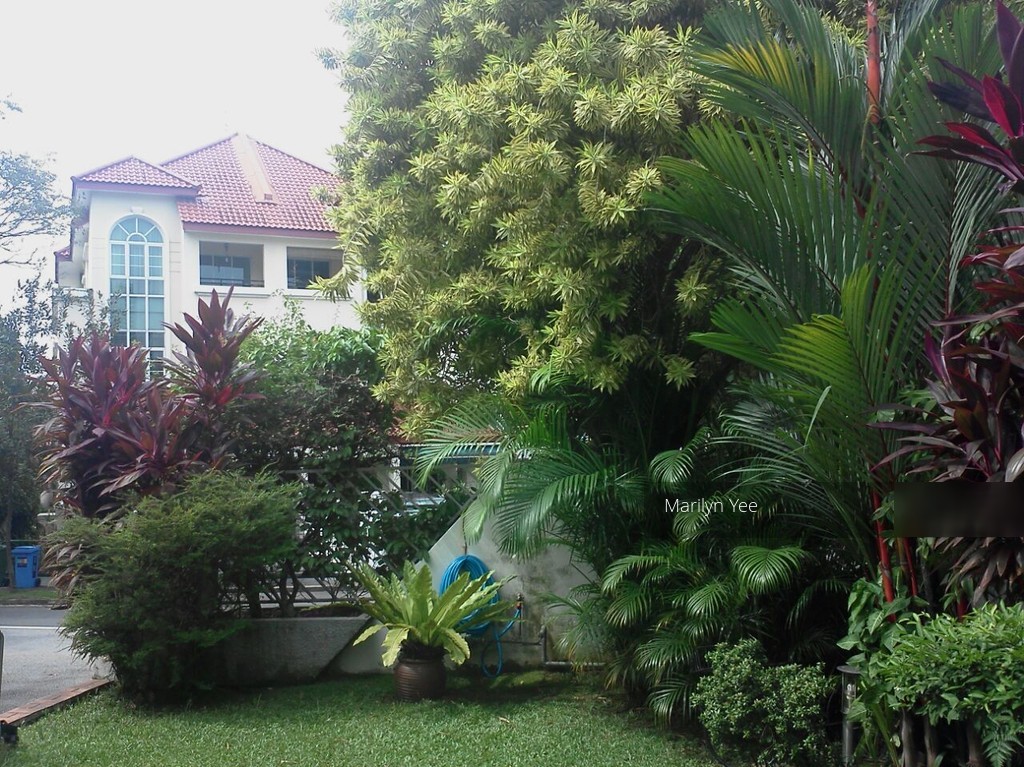 Coronation Ville (D10), Semi-Detached #116015732